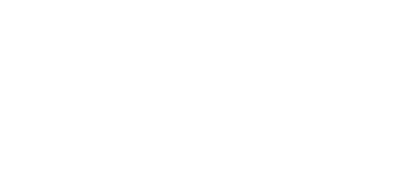 Logo Dongfeng